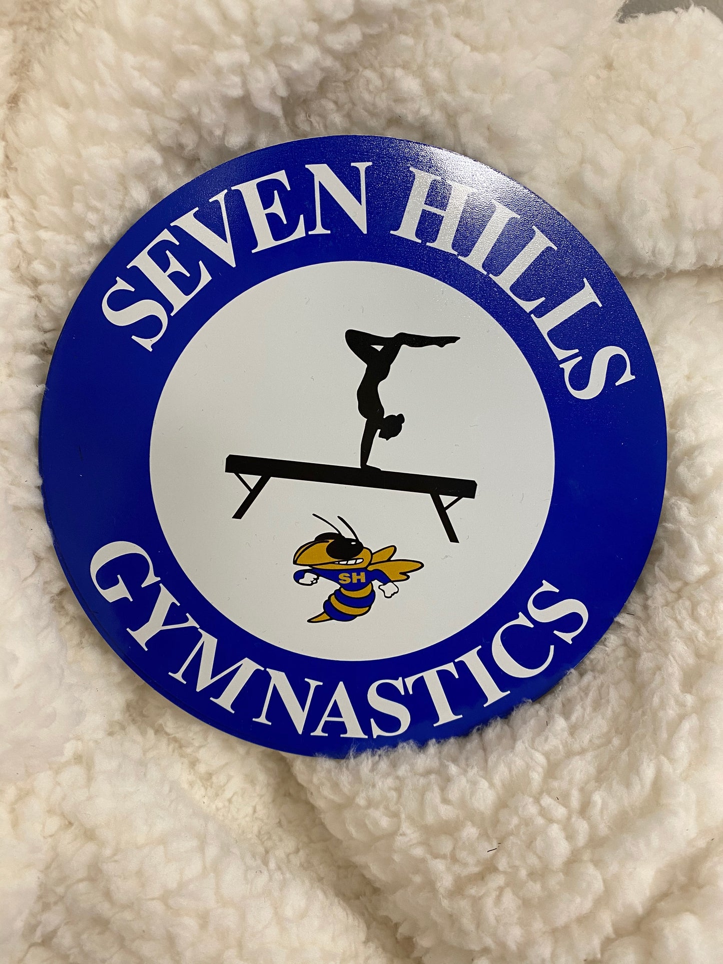 Sports Magnets